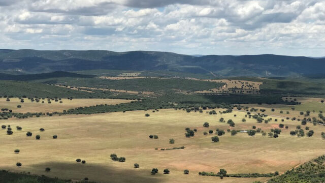 Zicht over de Dehesa, vanaf het hoogste punt bij Horcajo (800 meter) Zicht over de Dehesa, vanaf het hoogste punt bij Horcajo (800 meter)